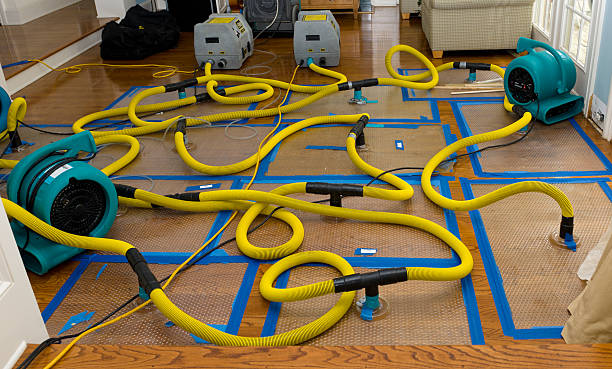 Professional Sewage Cleanup technician working in Lexington, MI